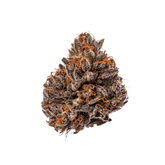 Growers Choice Triploid Tropicana Cherry Fem 3St. - Grow Zeche